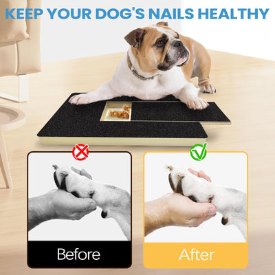 Dog Nail Scratch Board with Treat Box