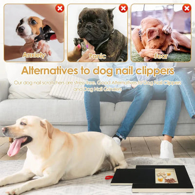 Dog Nail Scratch Board with Treat Box