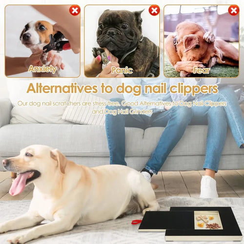 Dog Nail Scratch Board with Treat Box